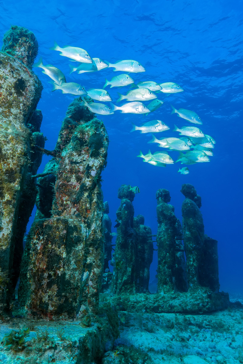 Mexico - Diving in Isla Mujeres - museo subacuatico de arte