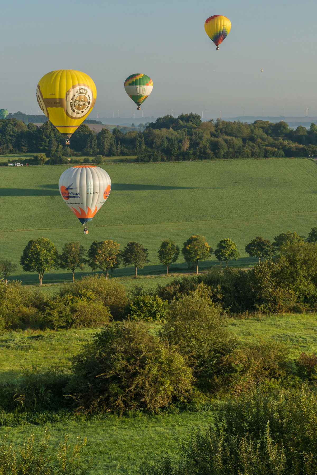 Warsteiner Ballontreffen, Montgolfiade 2017