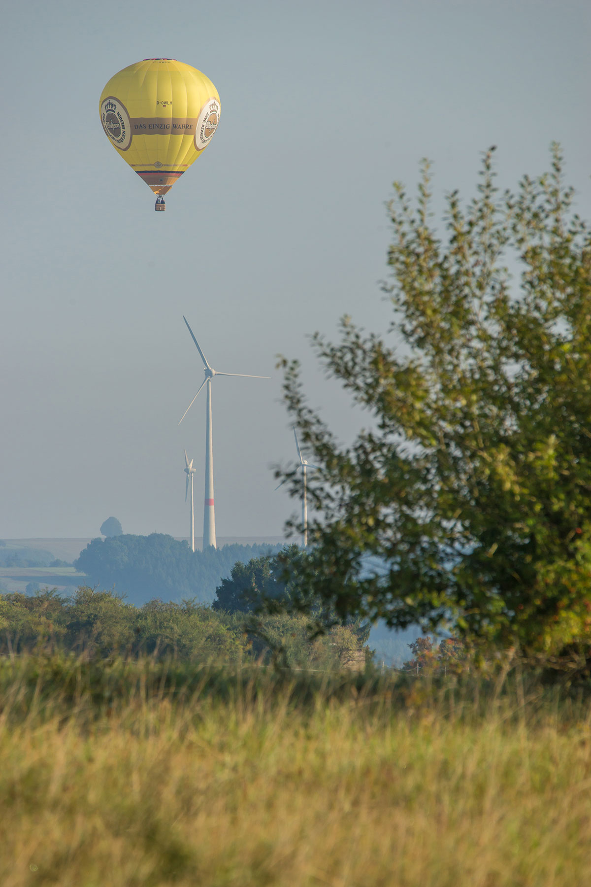 Warsteiner Ballontreffen, Montgolfiade 2017