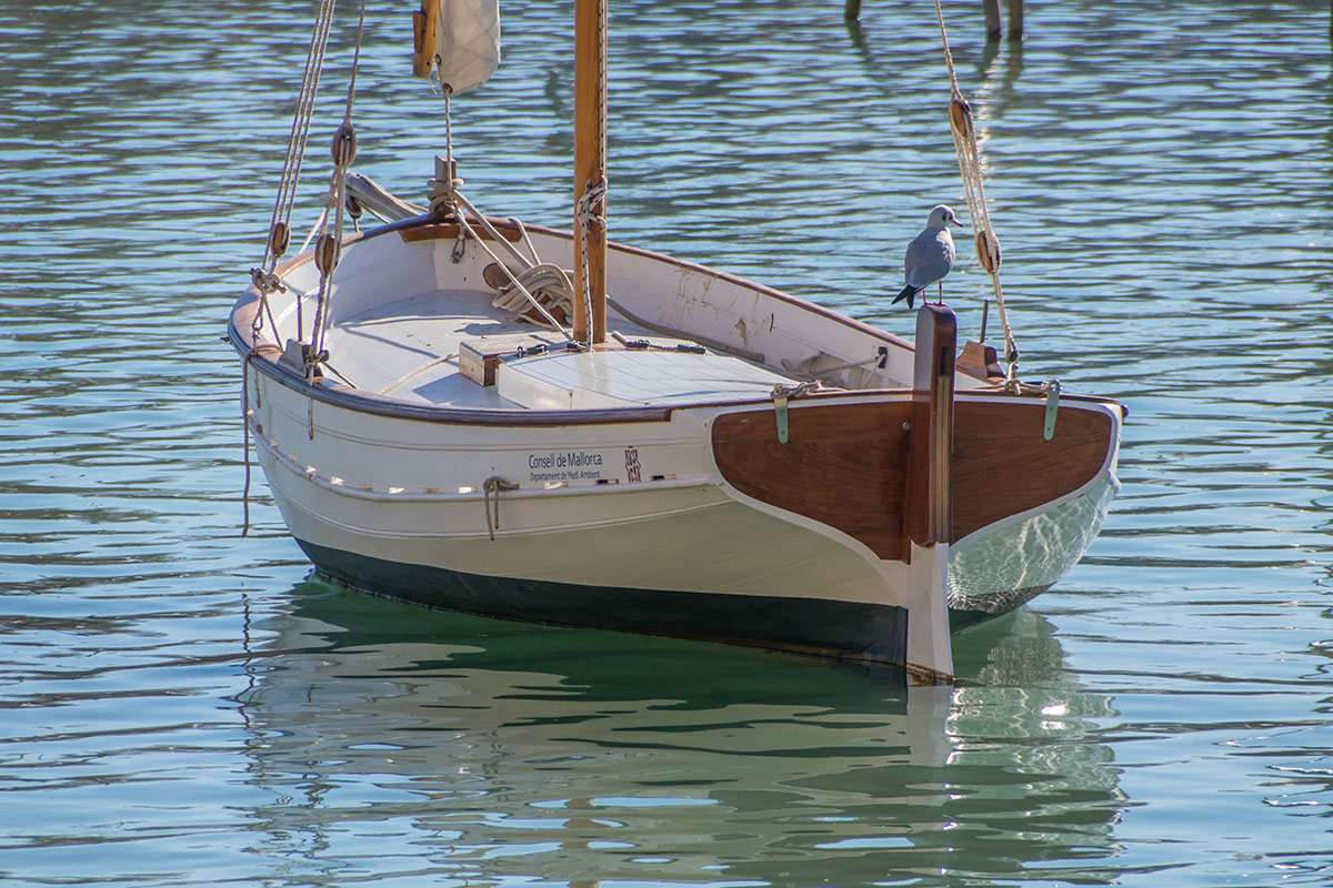 boat in front of the Catedral de Mallorca, Palma