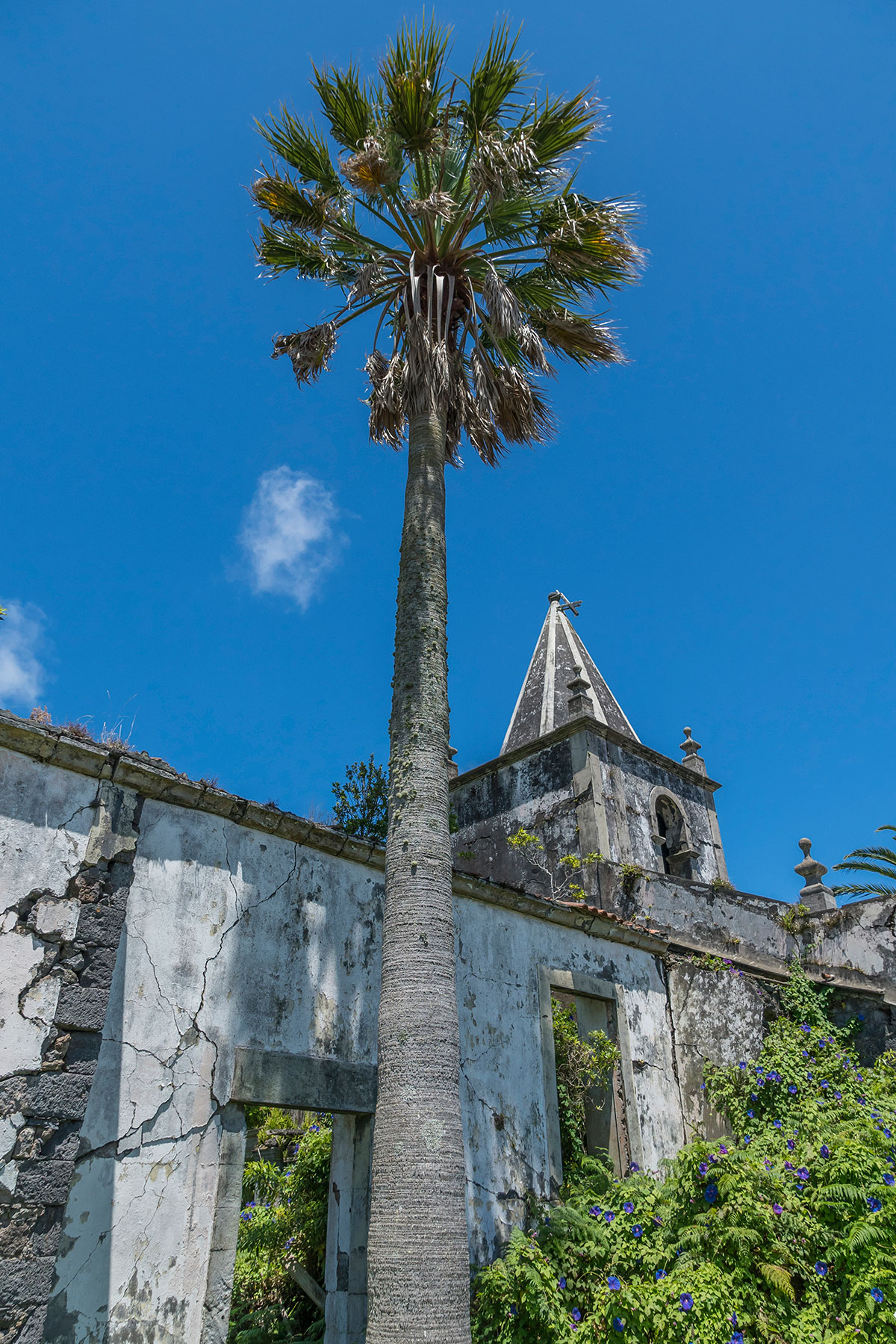 Azores, Faial, Iglesia ruin Pedro Miguel