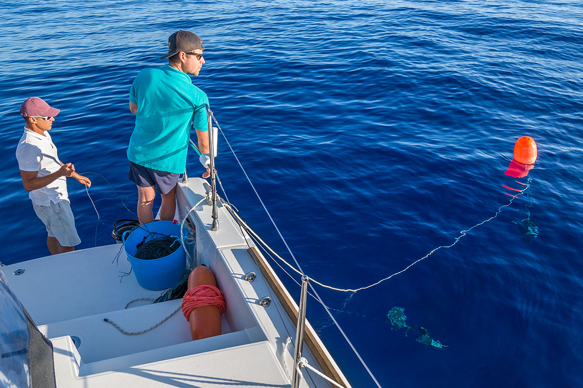 Azores, baiting Blue Sharks at Princess Alice Banks