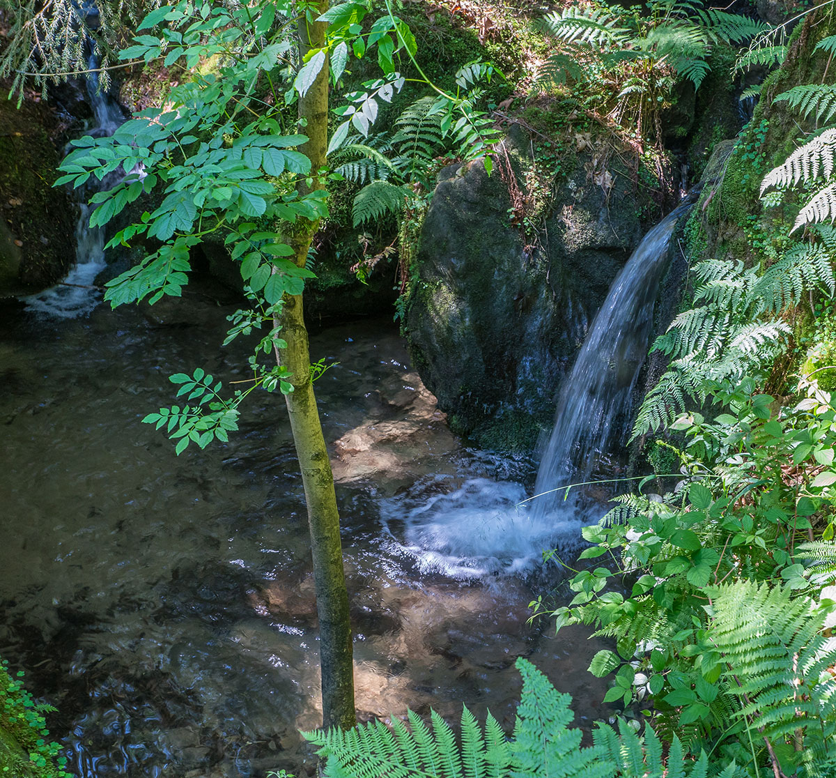 Elbtal, Wasserfall